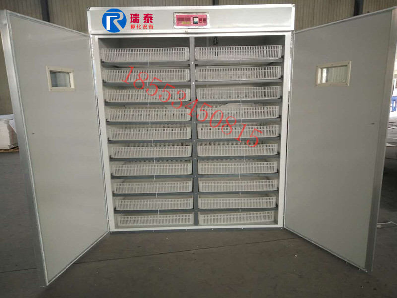 瑞泰4224枚三用機